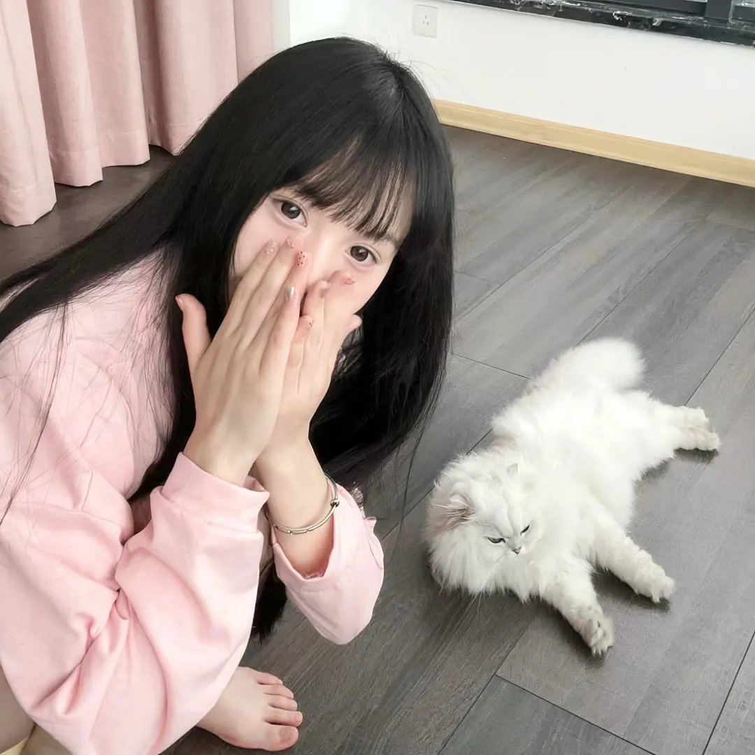 观鸟者